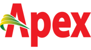 apex-sandalnshoe.com